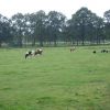 Foto 93 in Toertocht 2009