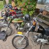 Foto 36 in Toertocht 2019