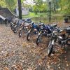 Foto 6 in Najaarsrit 2017
