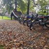 Foto 1 in Najaarsrit 2017