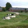 Foto 103 in Toertocht 2009