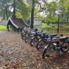Foto 2 in Najaarsrit 2017