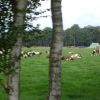 Foto 54 in Toertocht 2009